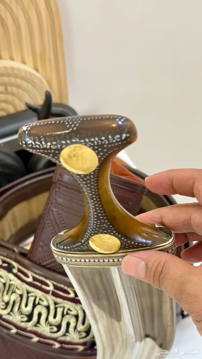 صنعاني زراف وافيه ونادره 10