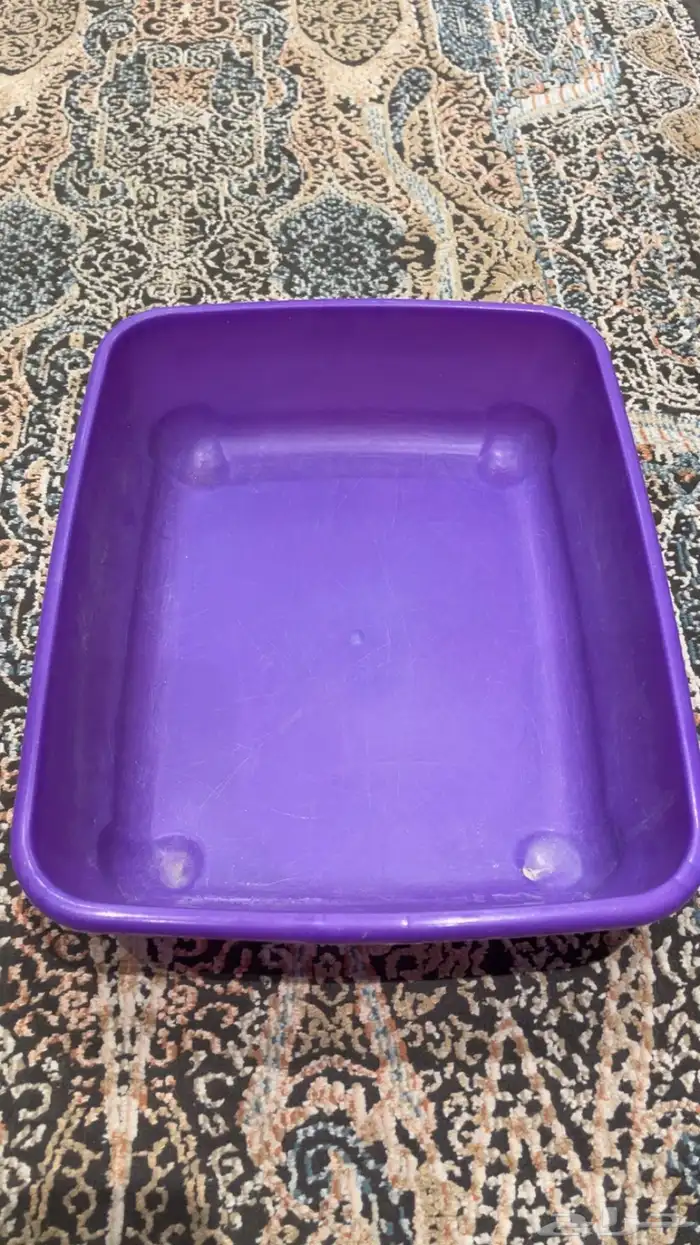 اغراض قطط مستخدمه بس نظيفه ب 100 فقط 2