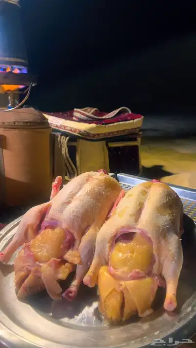 زغاليل بط وز ديكه index