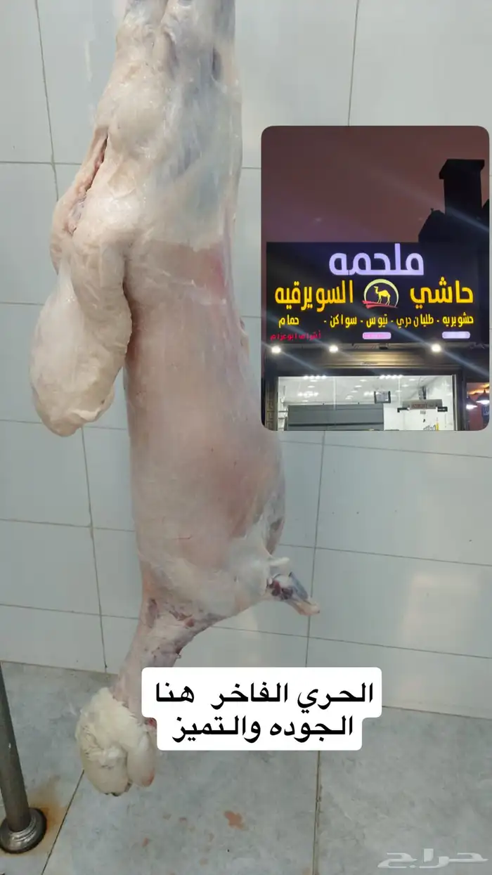 حشو ف اخر وحريات وتيوس ذبح يومي 5