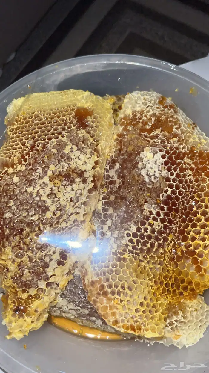 عسل قرص مع سدره شي ذمه ومانه وعع المختبر 0