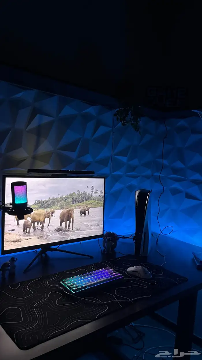 شاشة قيمنق 165Hz  بيع مستعجل 0