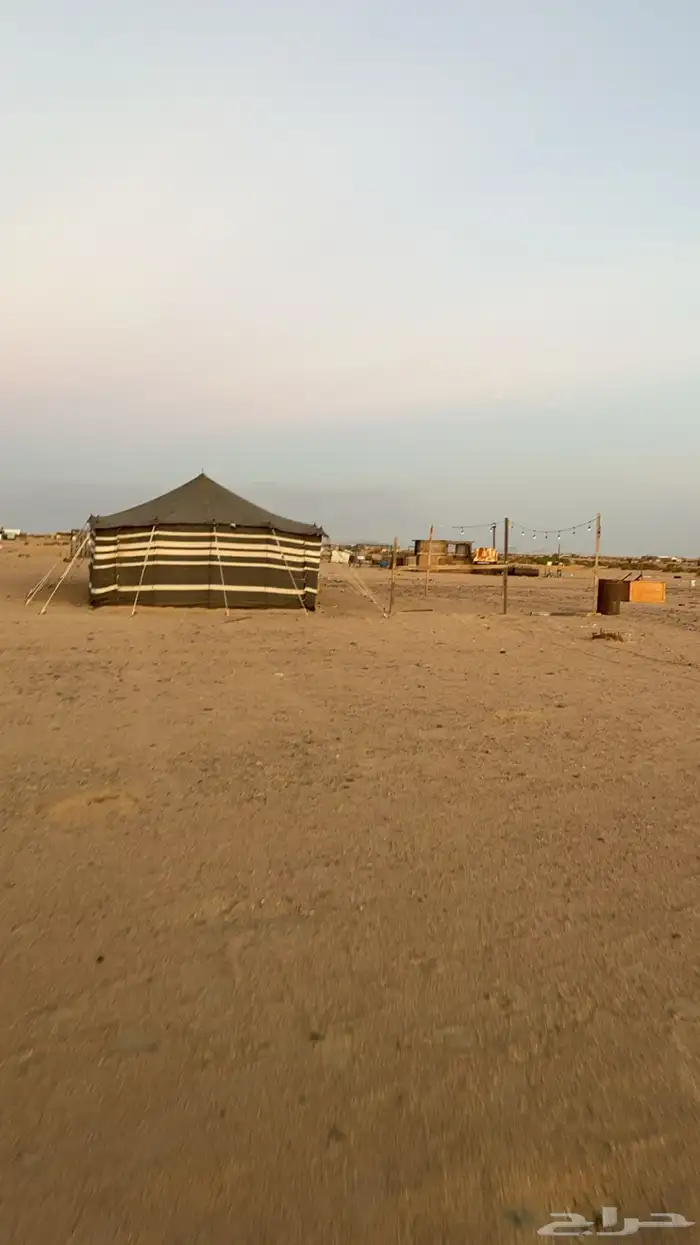 بيت شعر 13 6 2