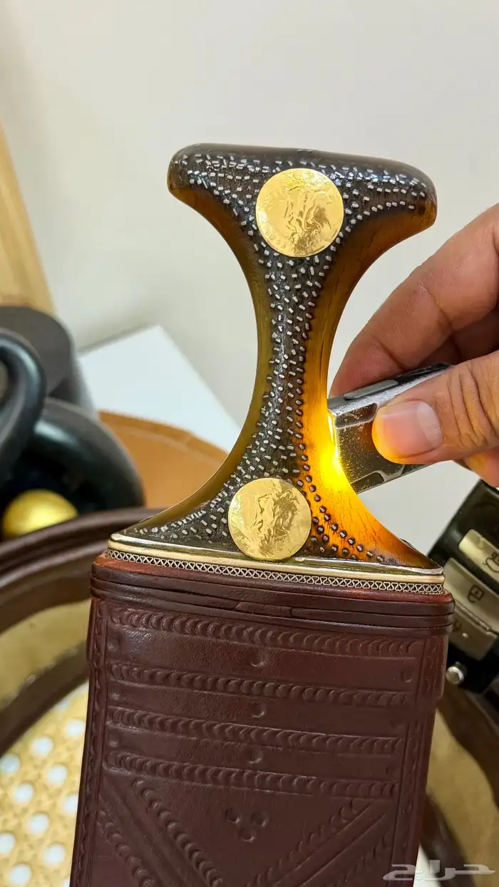 صنعاني زراف وافيه ونادره 3