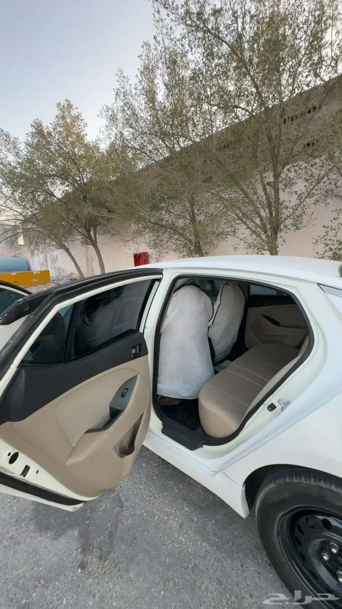 اوبتيما 2013 17