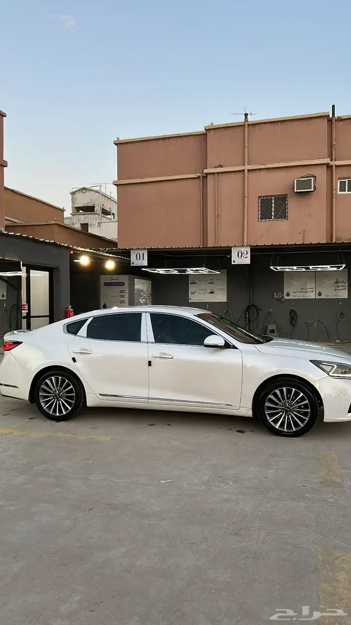 كادينزا 2017 3