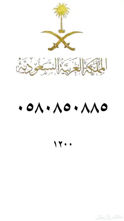ارقام مميزه stc index