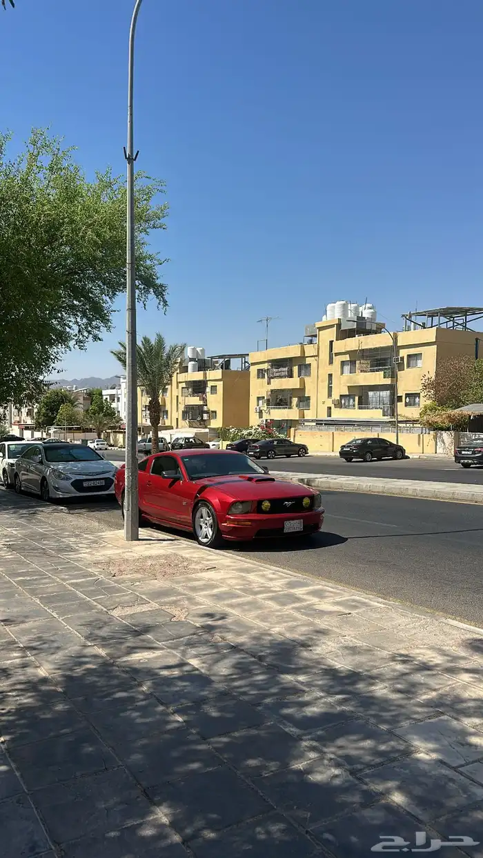 فورد موستنج 2008 قير عايدي اسبشل كاليفورنيا 2