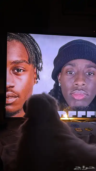 كلب بيكيني index