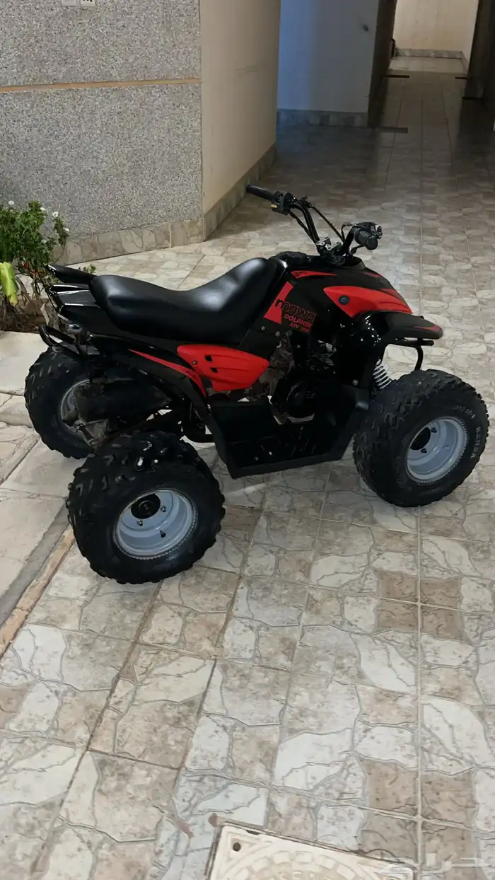 دباب 2