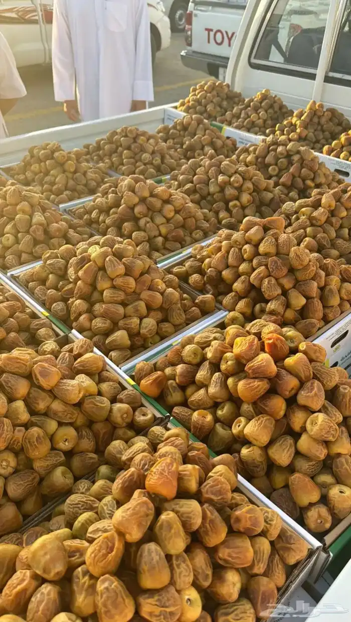 أفخر تمور القصيم ملكي 0
