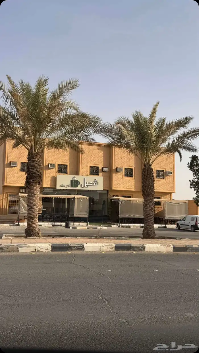 شاهي شعيل للتقبيل مستعجل 5