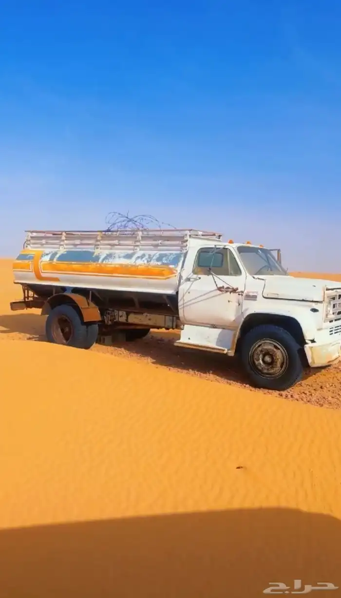 وايت جمس مديل 80 1