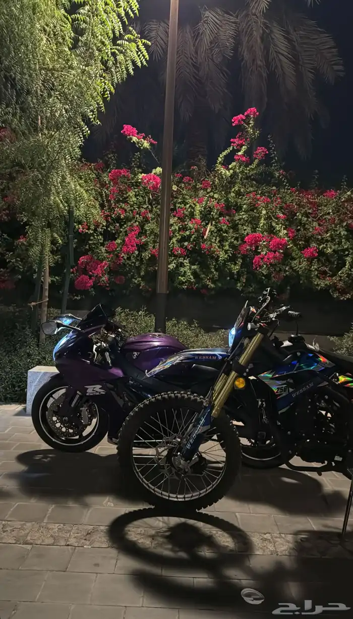 صحراوي الوسام جديد 2026 3