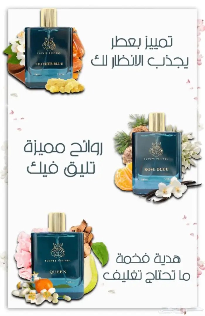 تصميم خدمات متجر سلة بنرات وبوسترات ومنتجات باحترافية 21