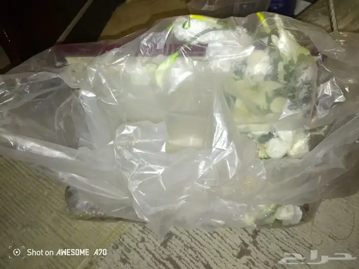 عربية شبكة او ملكة جديده 1