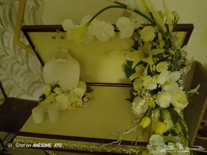 عربية شبكة او ملكة جديده 5