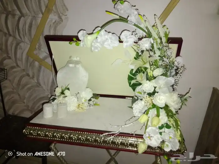 عربية شبكة او ملكة جديده 8