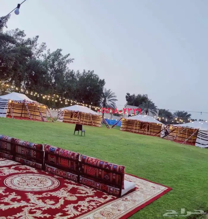 دفايات تاجير كراسي طاولات طعام كوكتيل حي الملقا الرياض 5
