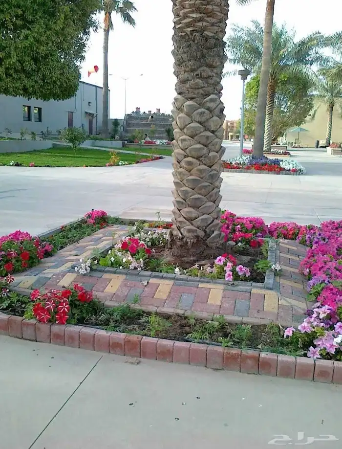 مشاتل حي الملك فهد 3