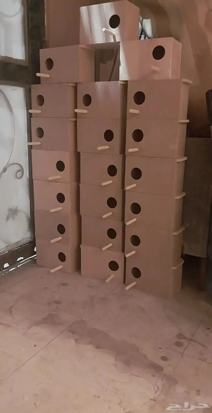 30 بياضة صغيرة مناسبة لطيور الزيبرا 40بياضة للبادجي والروز 0