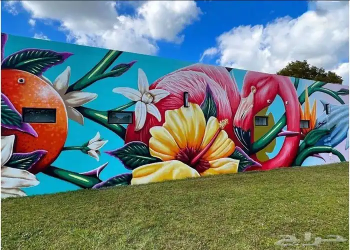 رسام تشكيلي تواصل فون وواتس 5