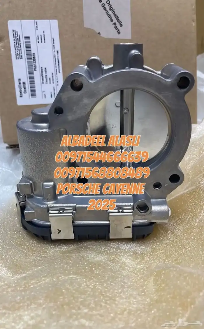 بورش كايين 2025 فطه عيار بالشارقه 11