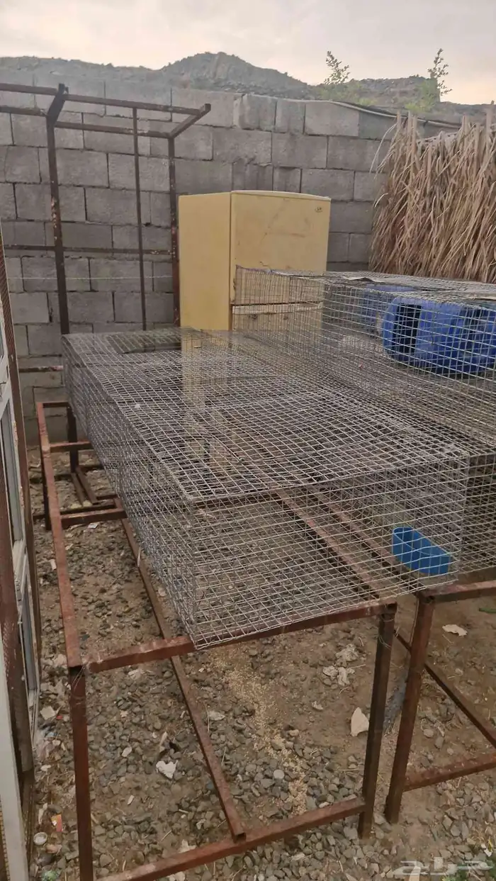 اعلاف ولوازم الاغنام والدجاج 18