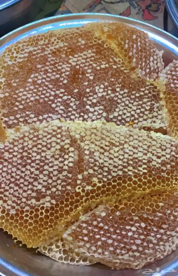 عسل سدر الحجاز 0