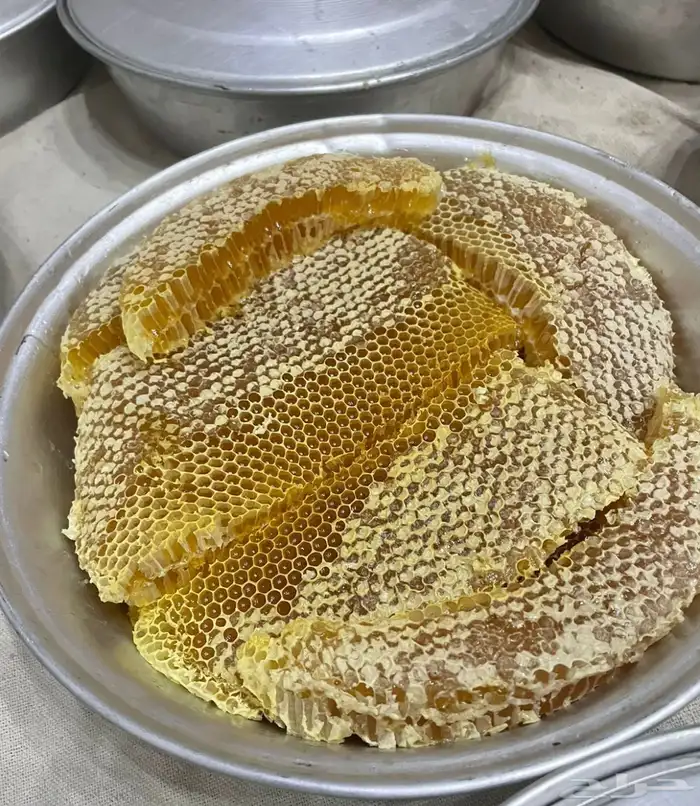 عسل سدر الحجاز 2