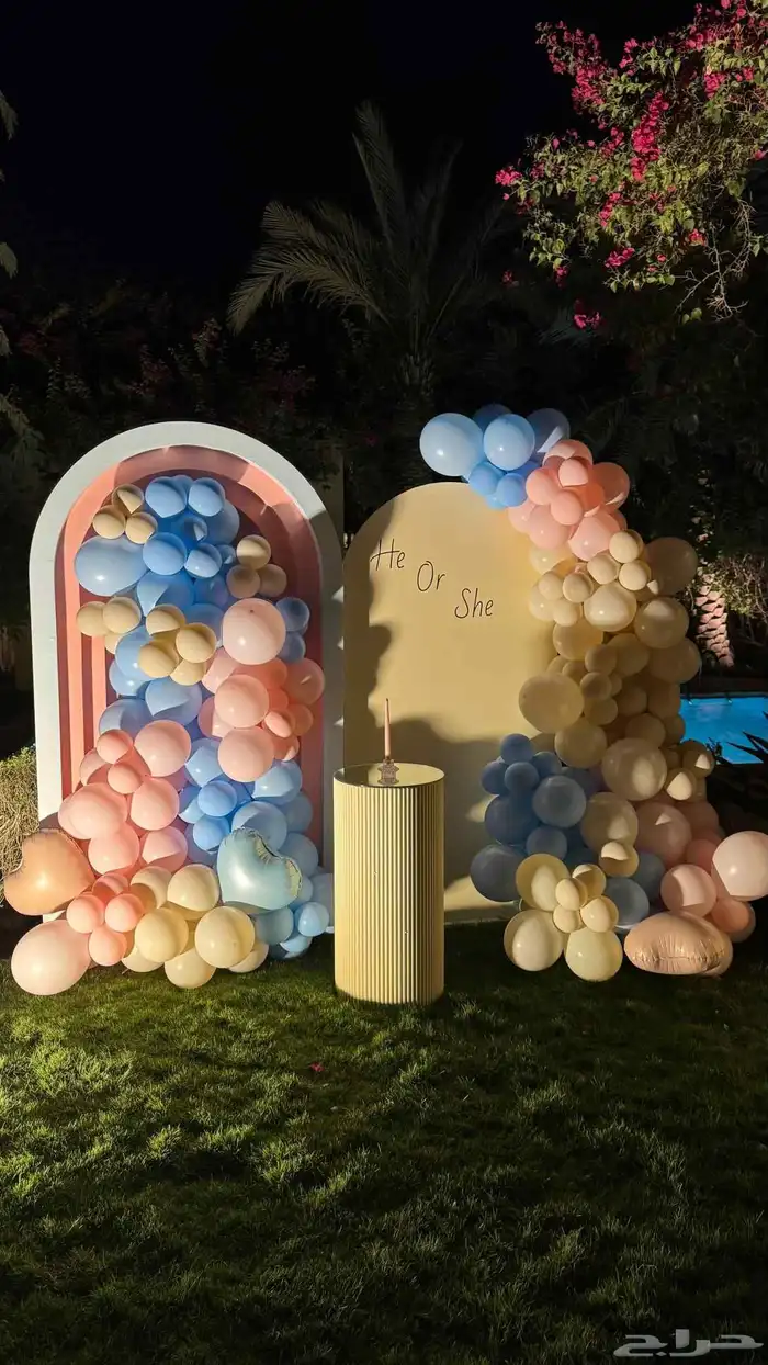 تنسيق ديكور كشف جنين 0