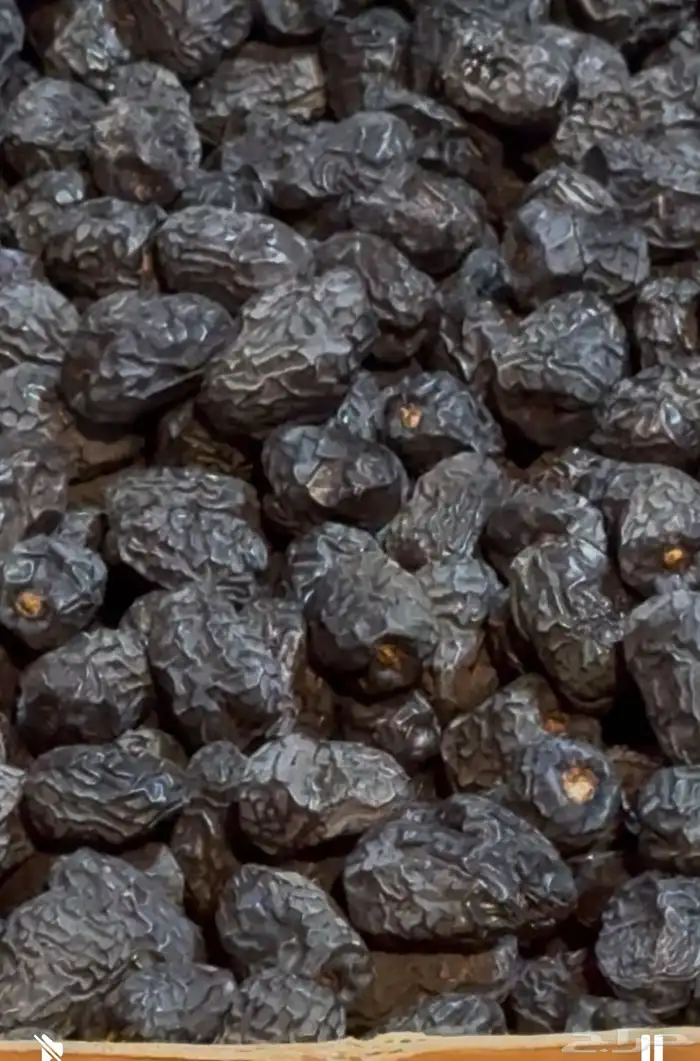 عجوى فاخره عضويه 1