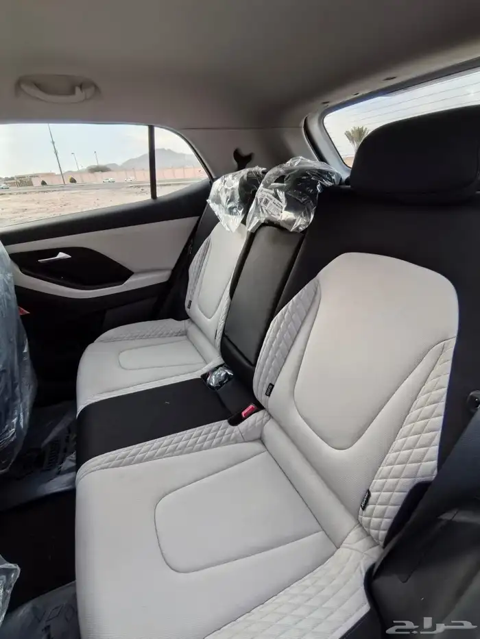 جيب كريتا شبه اصفار 8