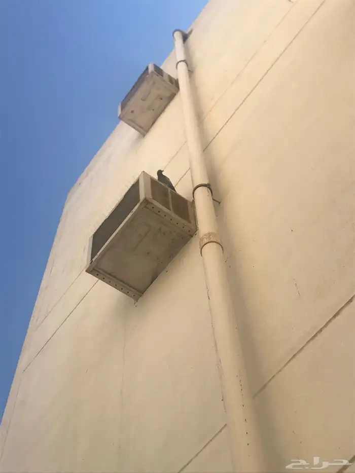 شركه تركيب طارد الحمام و طارد الطيور 3