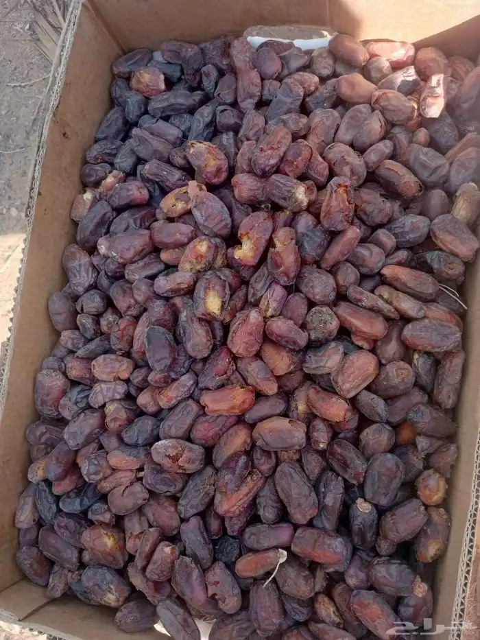 يوجد لدينا تمر خضري منقب قليل وسعر مناسب 2