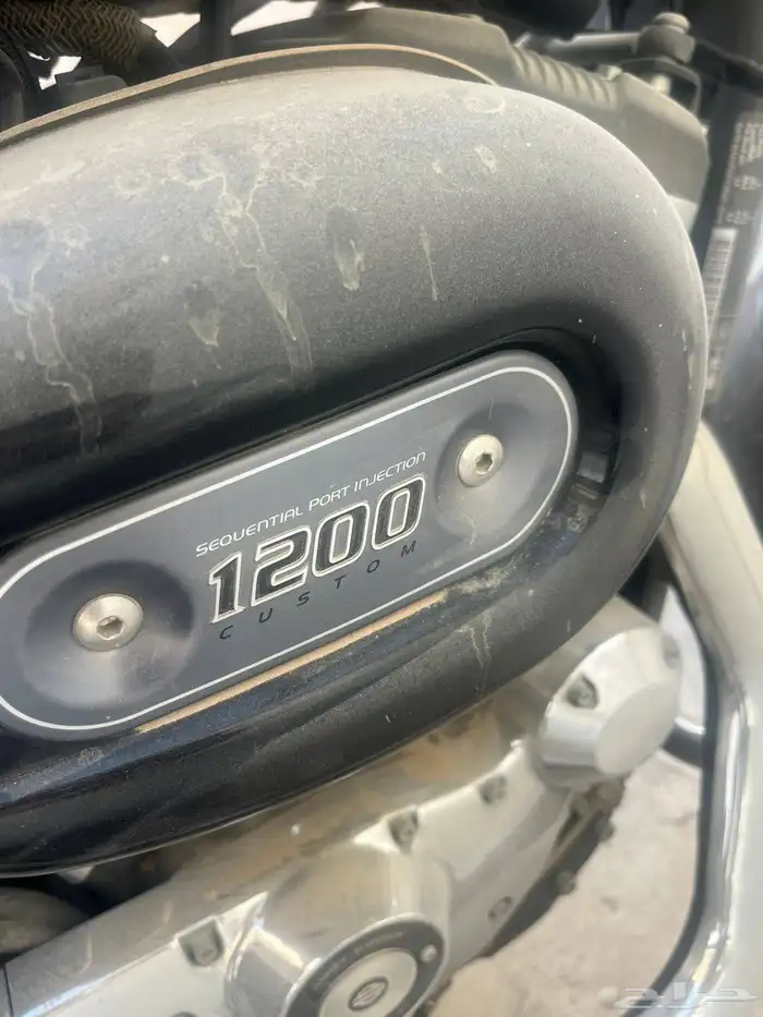 دباب هارلي 1200 2