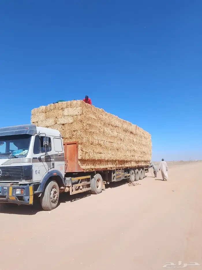 تبن بر حولي وجديد والدفع عند الوصول 9