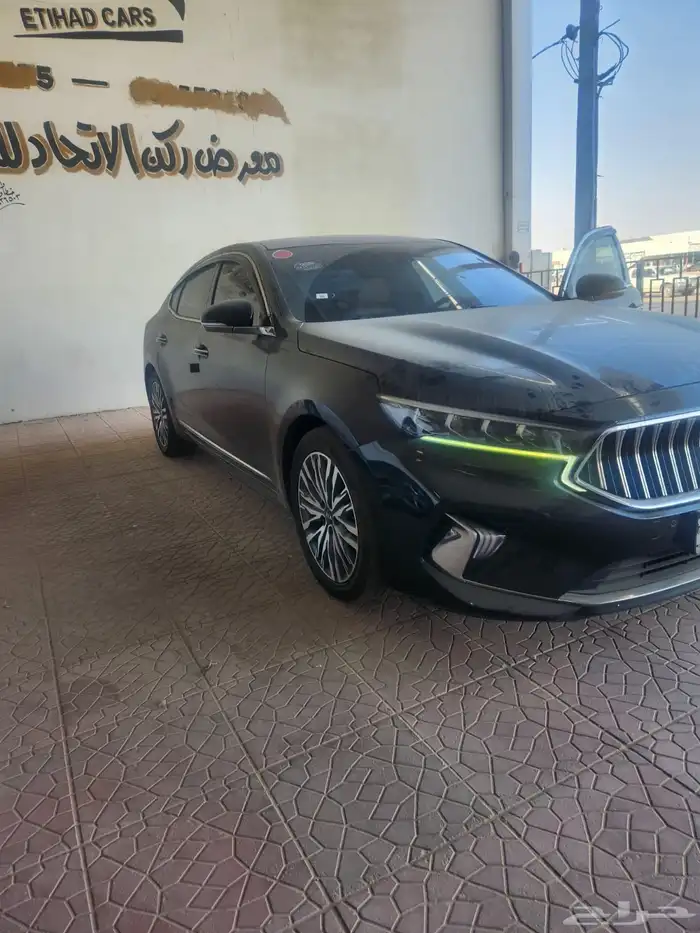 كادينزا 7