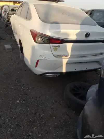 شيري اريزوا 6 index