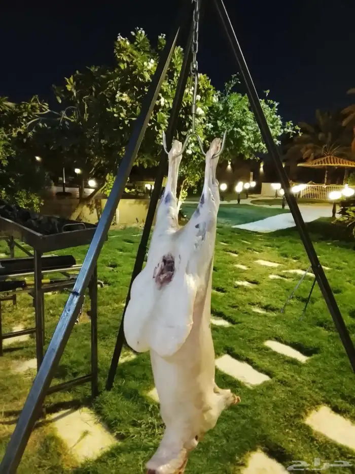 معلم مشويات شوي مشاوي 0