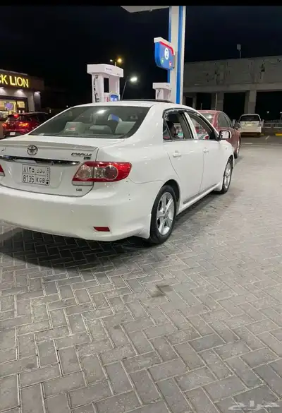 فحص جديد index