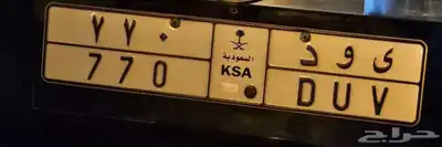 لوحة للبيع ( ى و د 770 ) 0