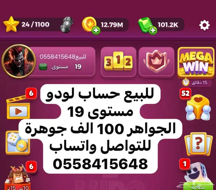 حسابات لودو ستار جواهر فلوس لودو كوينز بلياردو 8ball 3