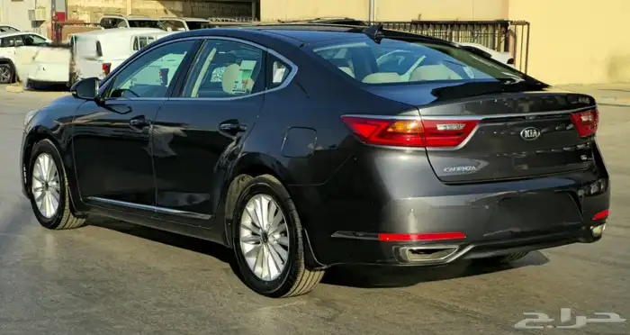 كادينزا 2019 وكاله 14