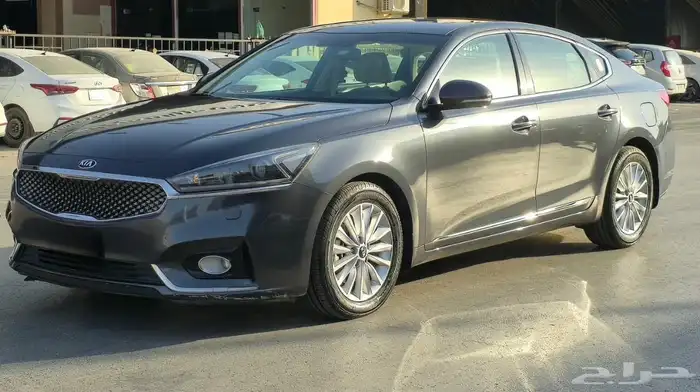 كادينزا 2019 وكاله 15