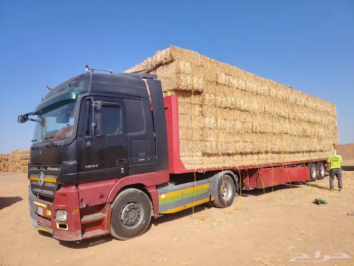 تبن بر حولي وجديد والدفع عند الوصول 5