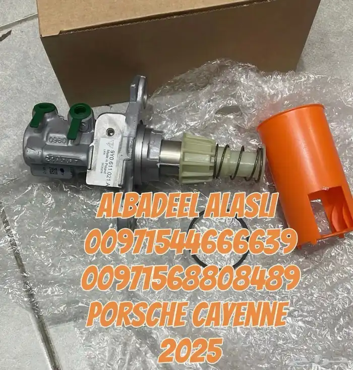 بورش كايين 2025 فطه عيار بالشارقه 12