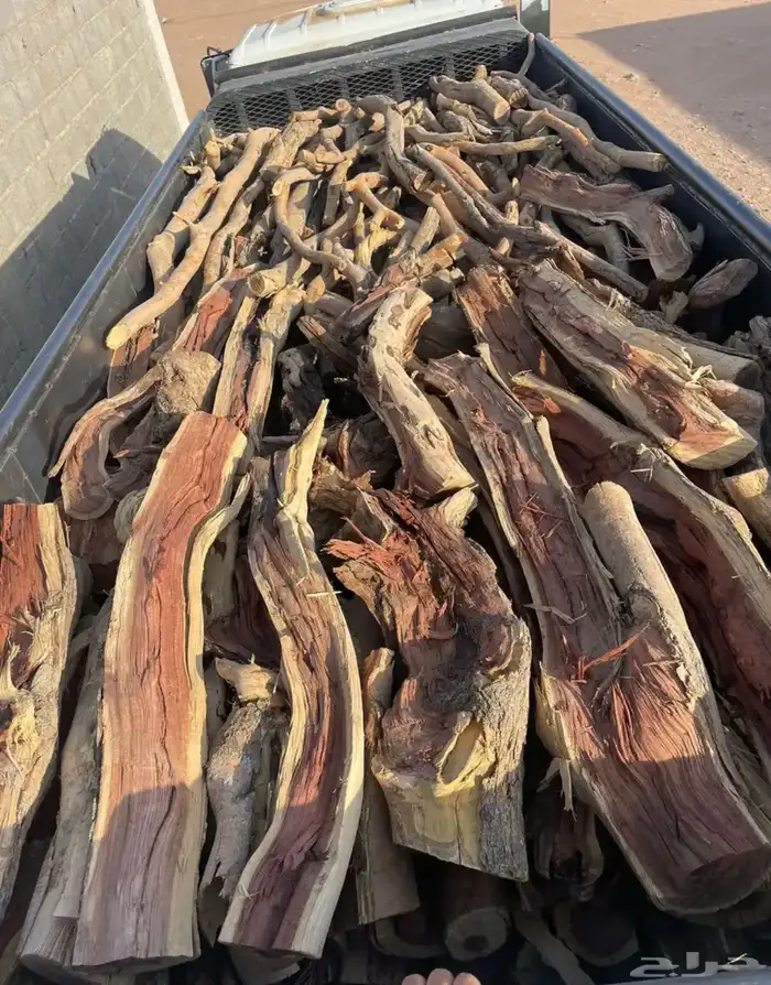 حطب سمر المدينه 0