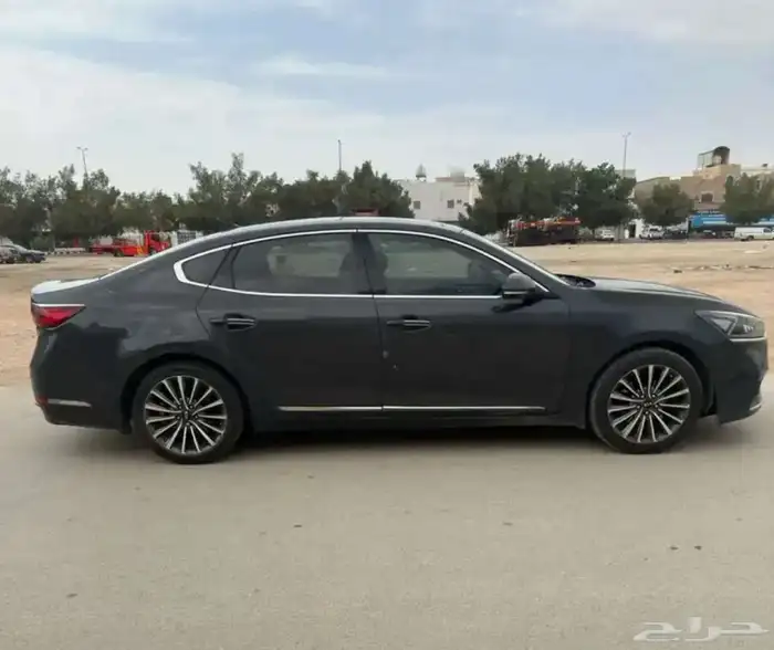 كادينزا 2018 3
