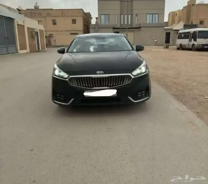 كادينزا 2018 4